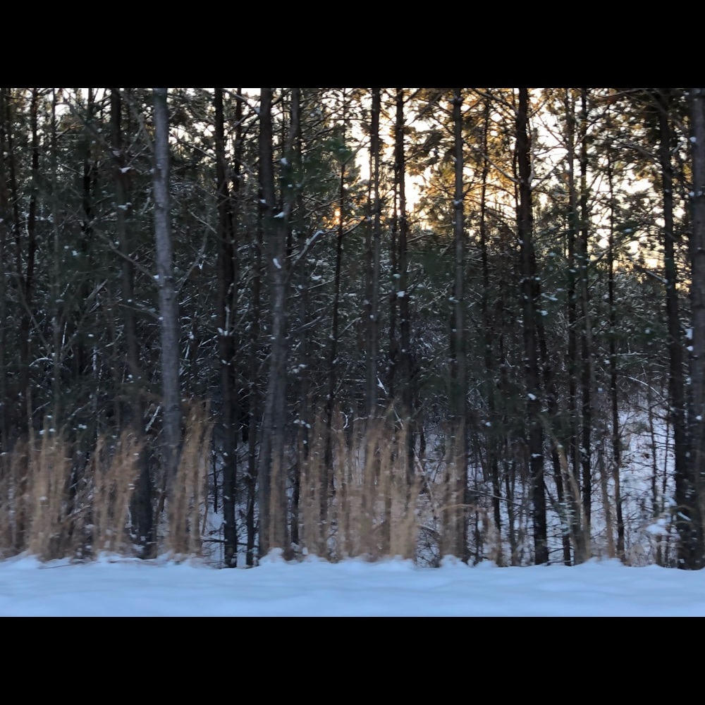 Meet your Posher, Vilma